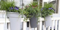 Balkonbak Flowerclip